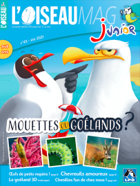 Couverture de l'OISEAU MAG JUNIOR n°43